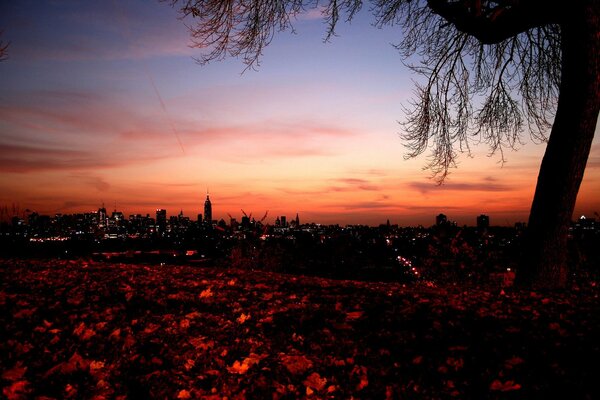 Sonnenuntergang der Stadt und die Lichter der Abendstadt, um die schön beleuchteten Blätter herum