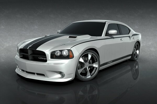 Gray stripes on a silver car look great