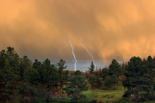 Nature has never had bad weather over the forest clouds lightning flashes