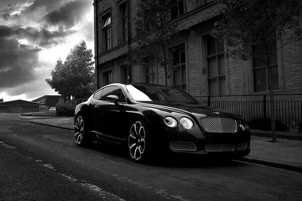 Bentley stands at the house on a black and white background