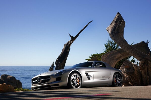 Bel homme Mercedes SLS AMG feu