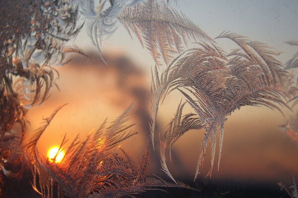 Frostige Muster bei Sonnenaufgang