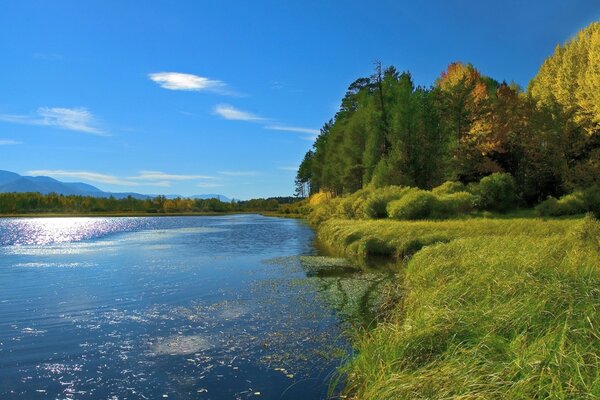 In summer on the shore of a beautiful lake