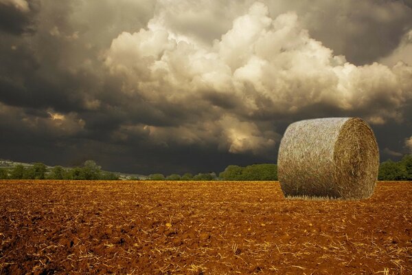 Sopra il campo si sono riuniti nuvole visibile sarà una tempesta