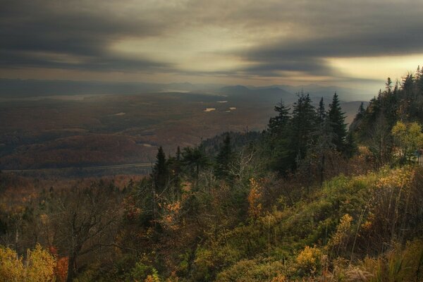 Autumn sadness in the forest