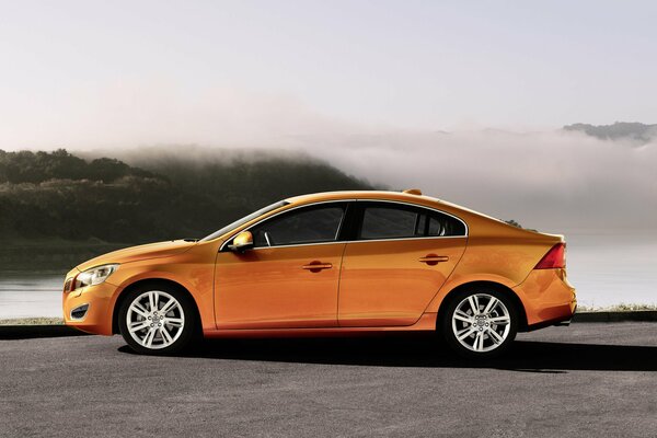 Voiture orange sur fond de brouillard et de forêt