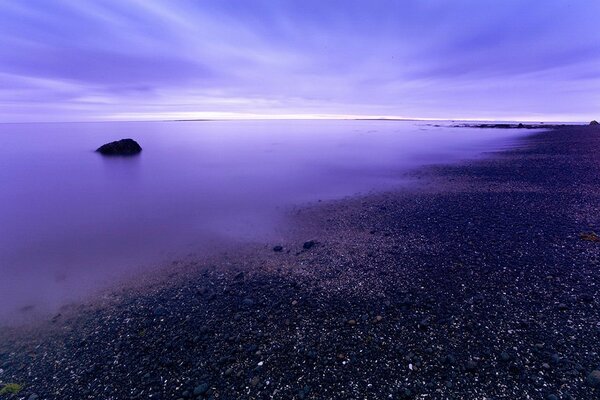 Purple sea and shore