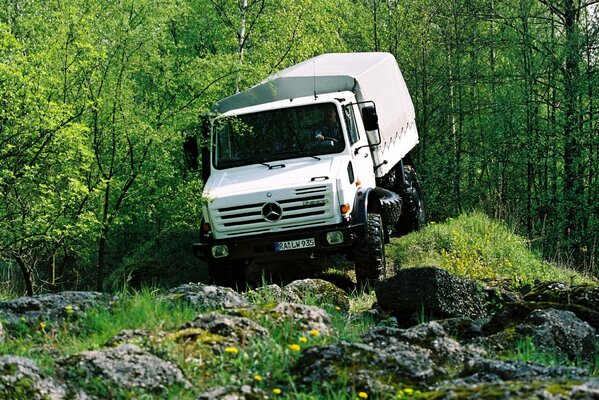 Ein Mercedes-LKW im Wald. wald, Steine, maschine