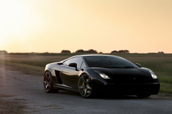 Lamborghini on the road in the sun