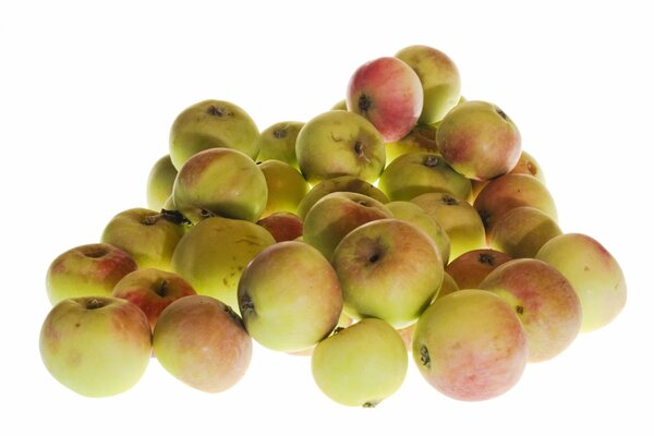 Ripe apples on a white background