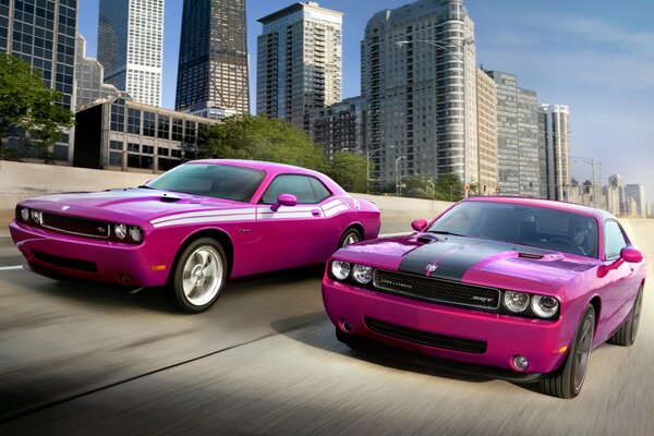 Dos aspirantes a la victoria corren por la carretera en los coches de color rosa