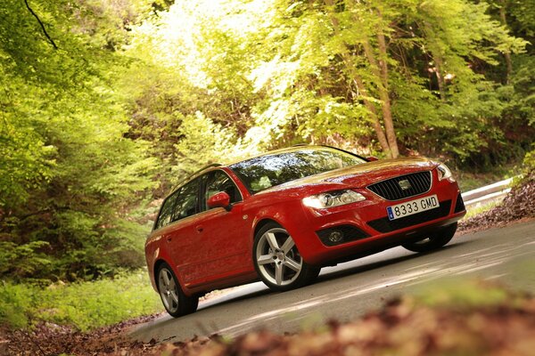 The car is red on the background of the forest