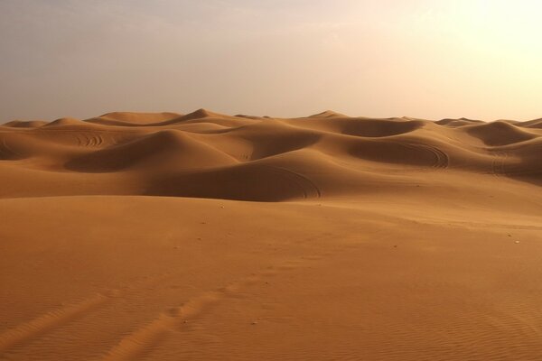 Tracce sulla sabbia nel deserto. Dune