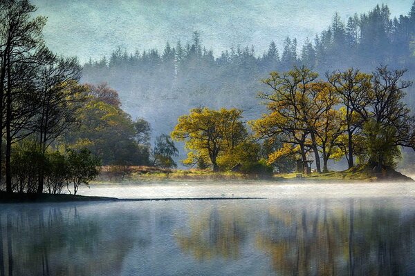 Forest landscape of the middle lane on the lake shore