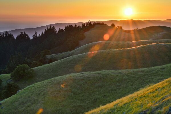 Morgenspalten Sonnenstrahl