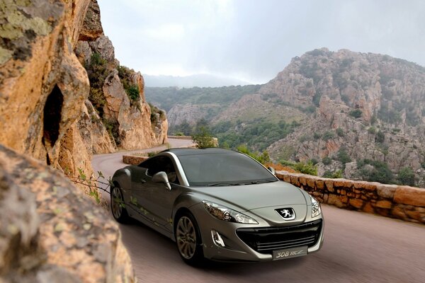 Auto di colore grigio sullo sfondo della natura e delle montagne