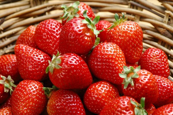 Juicy strawberries in a basket