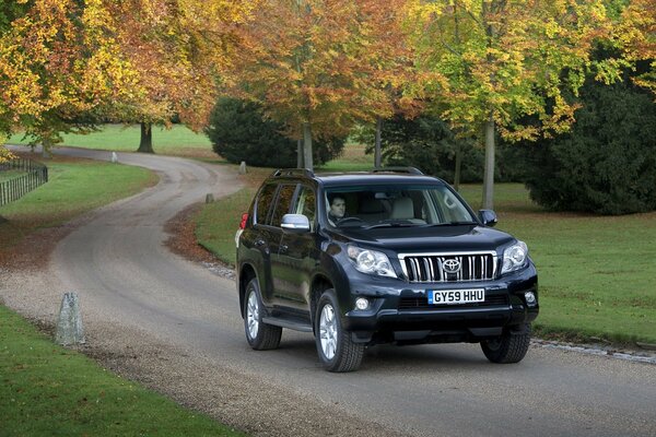 Toyota sulla strada in un bellissimo parco