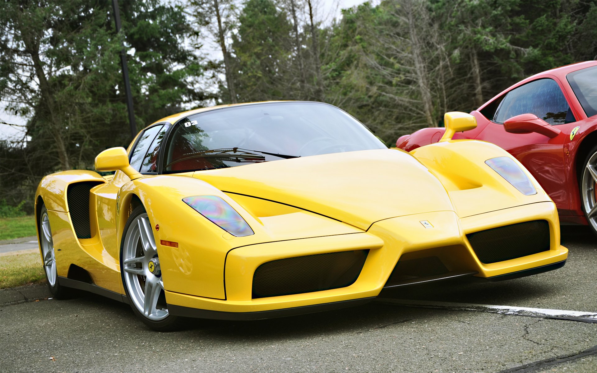 ferrari enzo flower