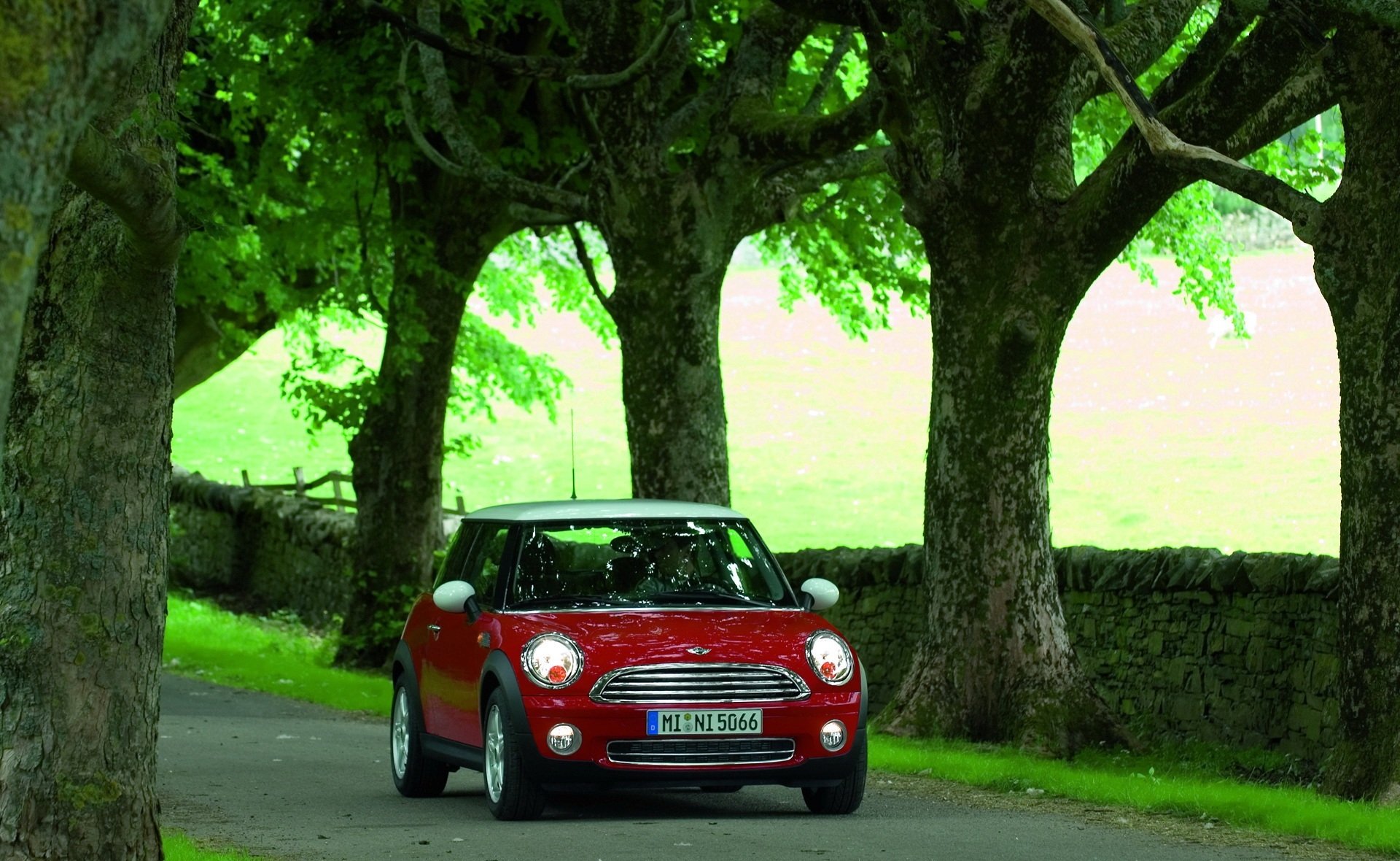 mini rosso macchine natura