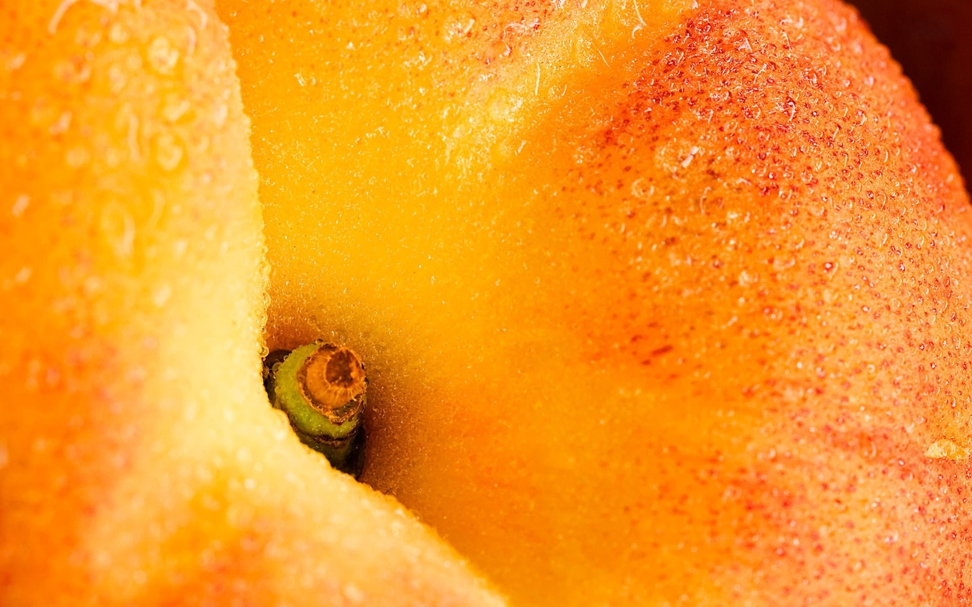 frutta macro gocce d acqua pesche