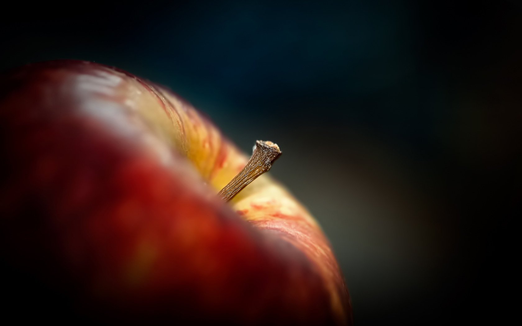 cola de caballo fondo oscuro manzana