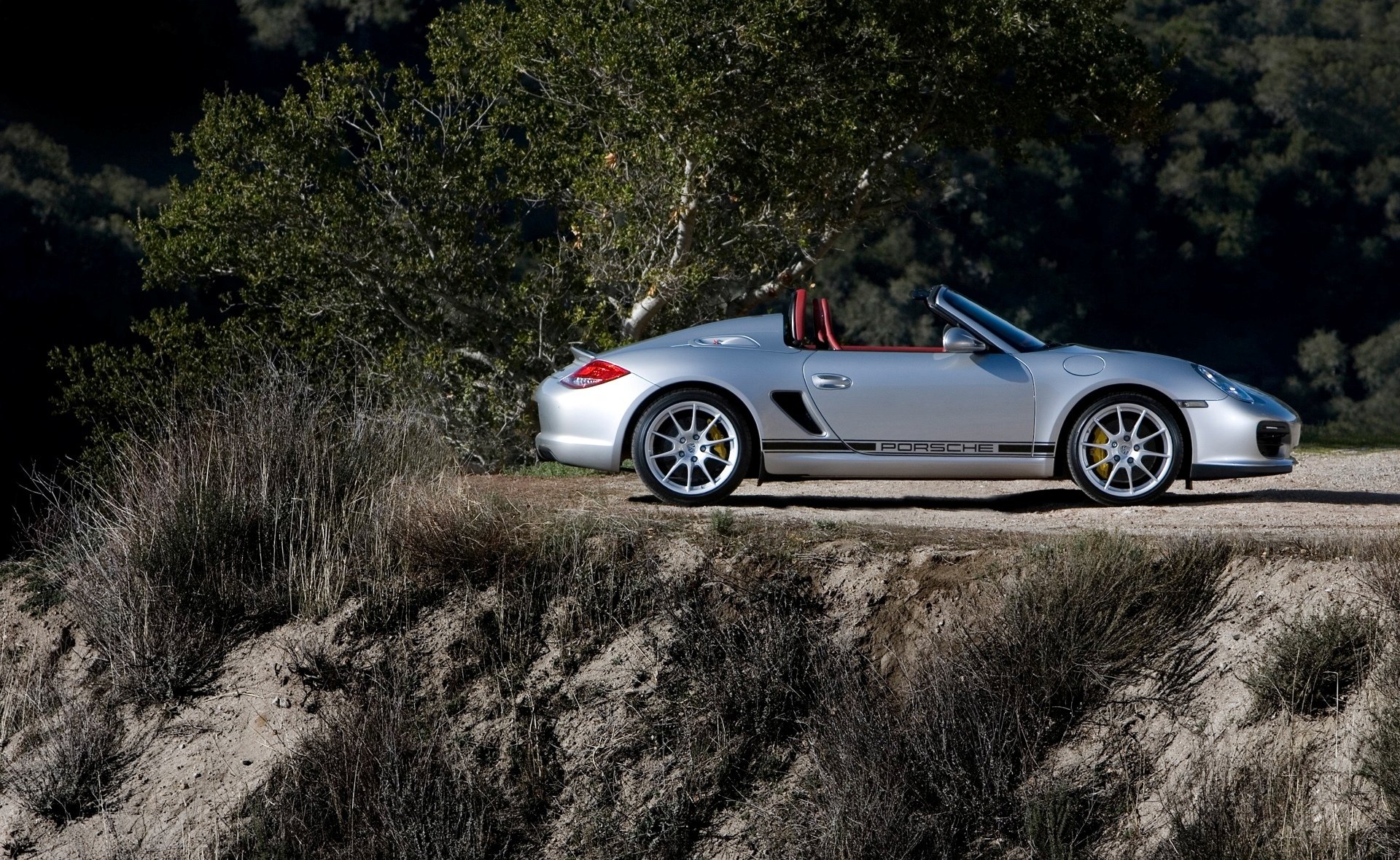 porsche argent terre