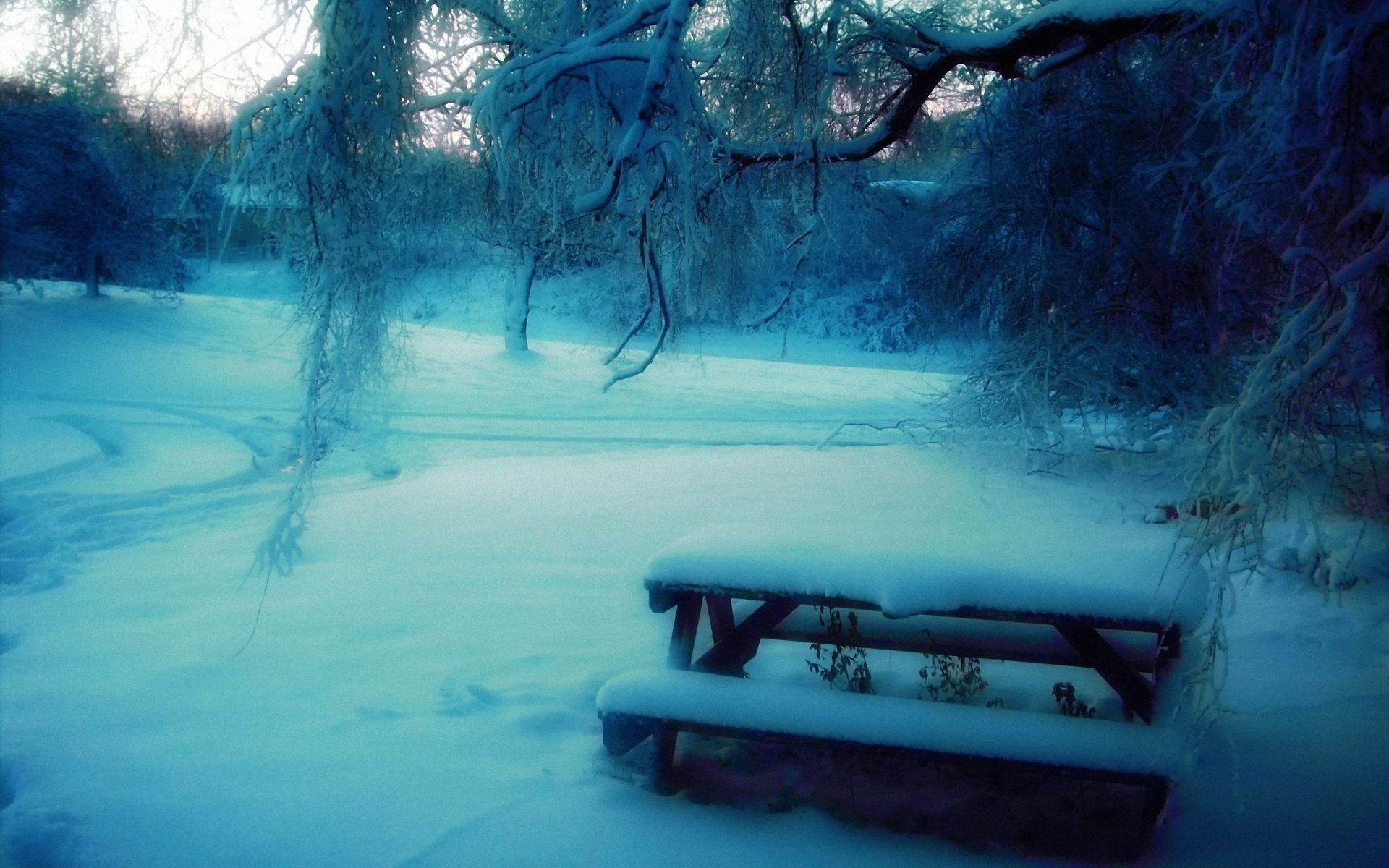 hiver flou arbres neige table banc parc