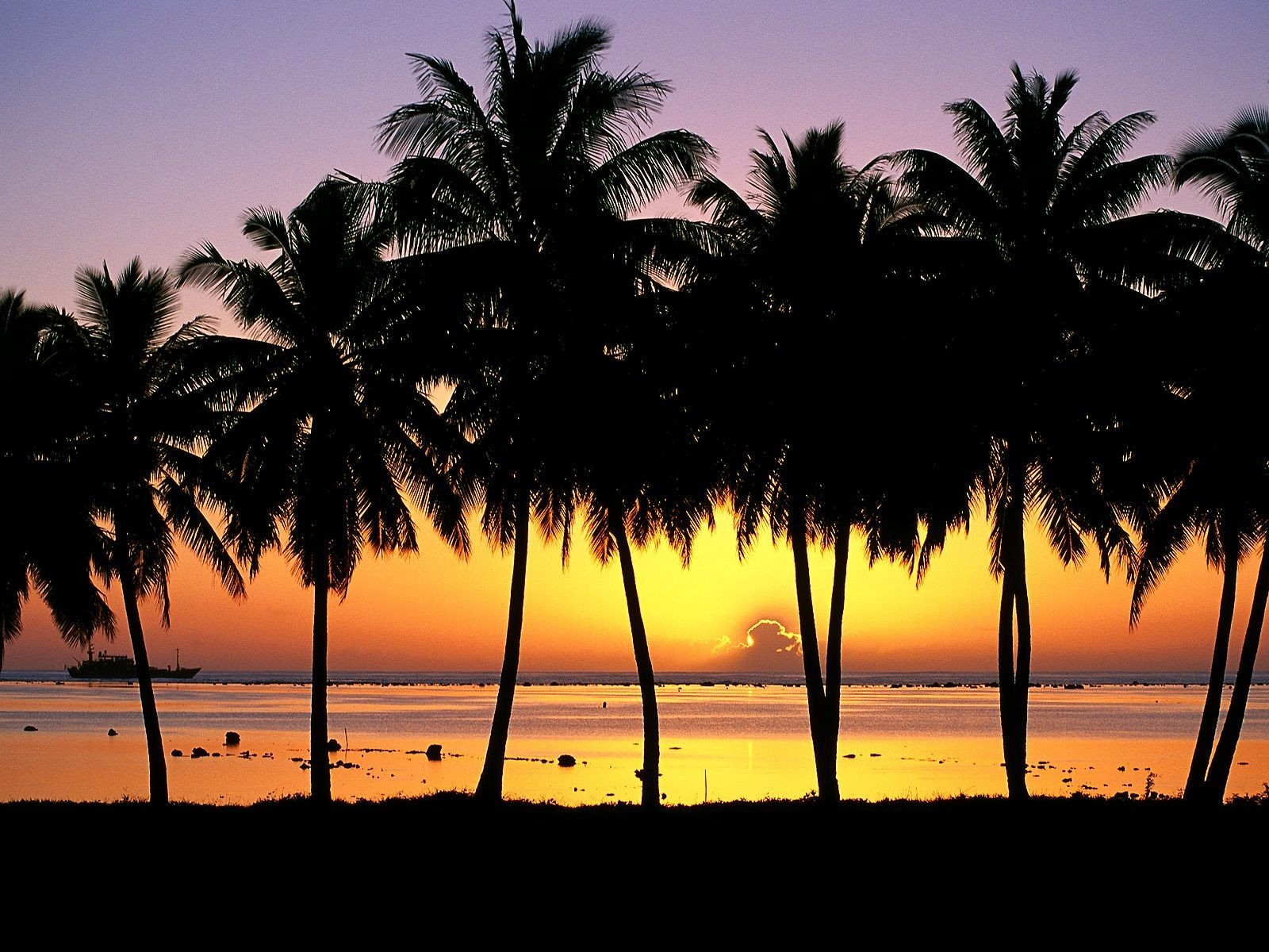 aitutaki île coucher de soleil palmiers