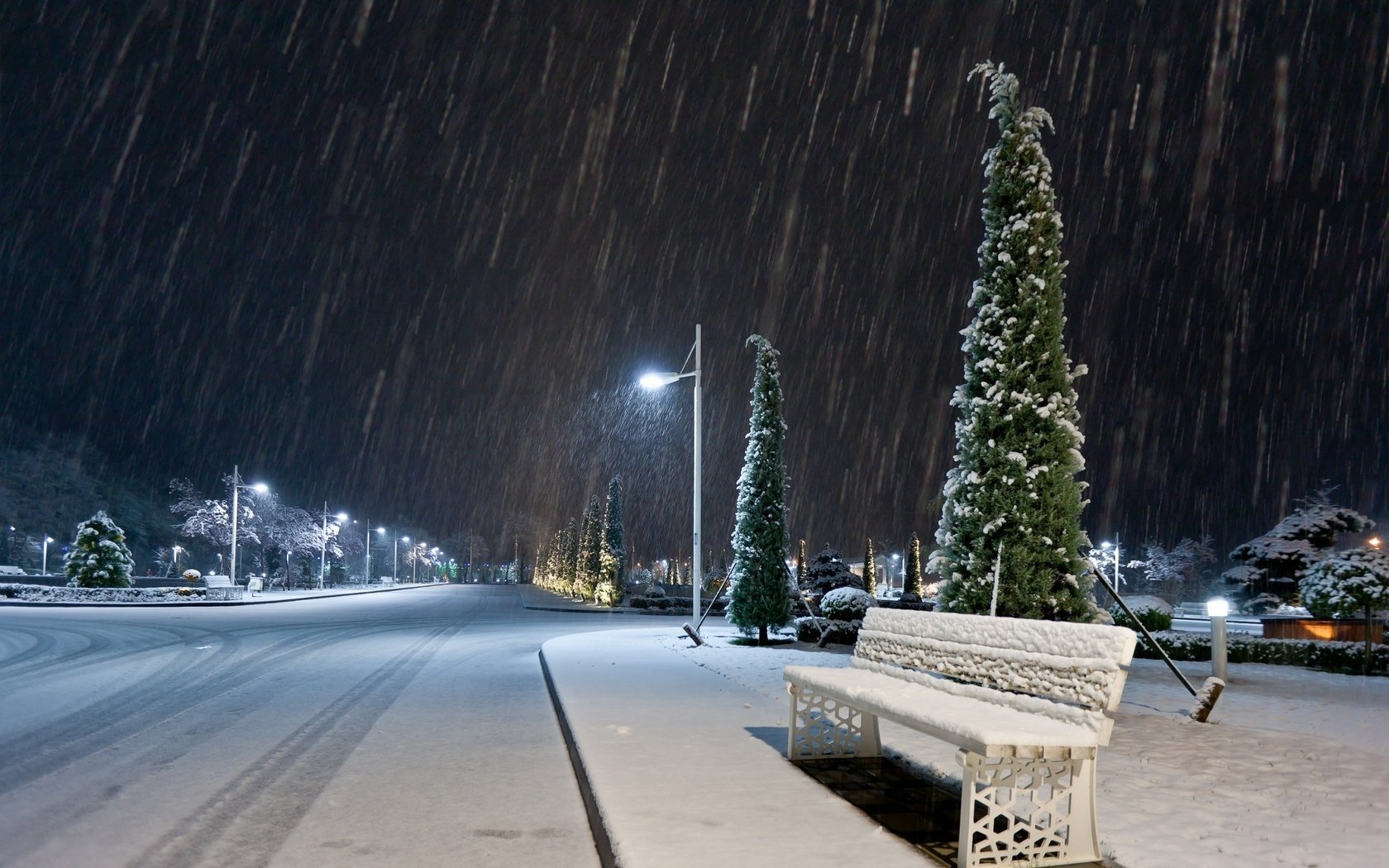 notte alberi panchina strada