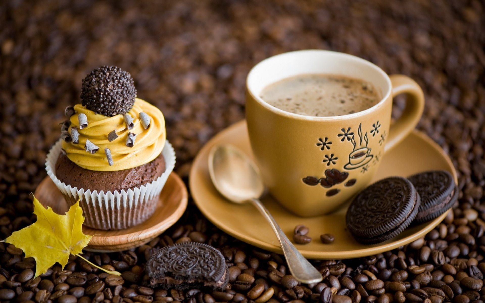 caffè grani cucchiaio biscotti foglia tazza