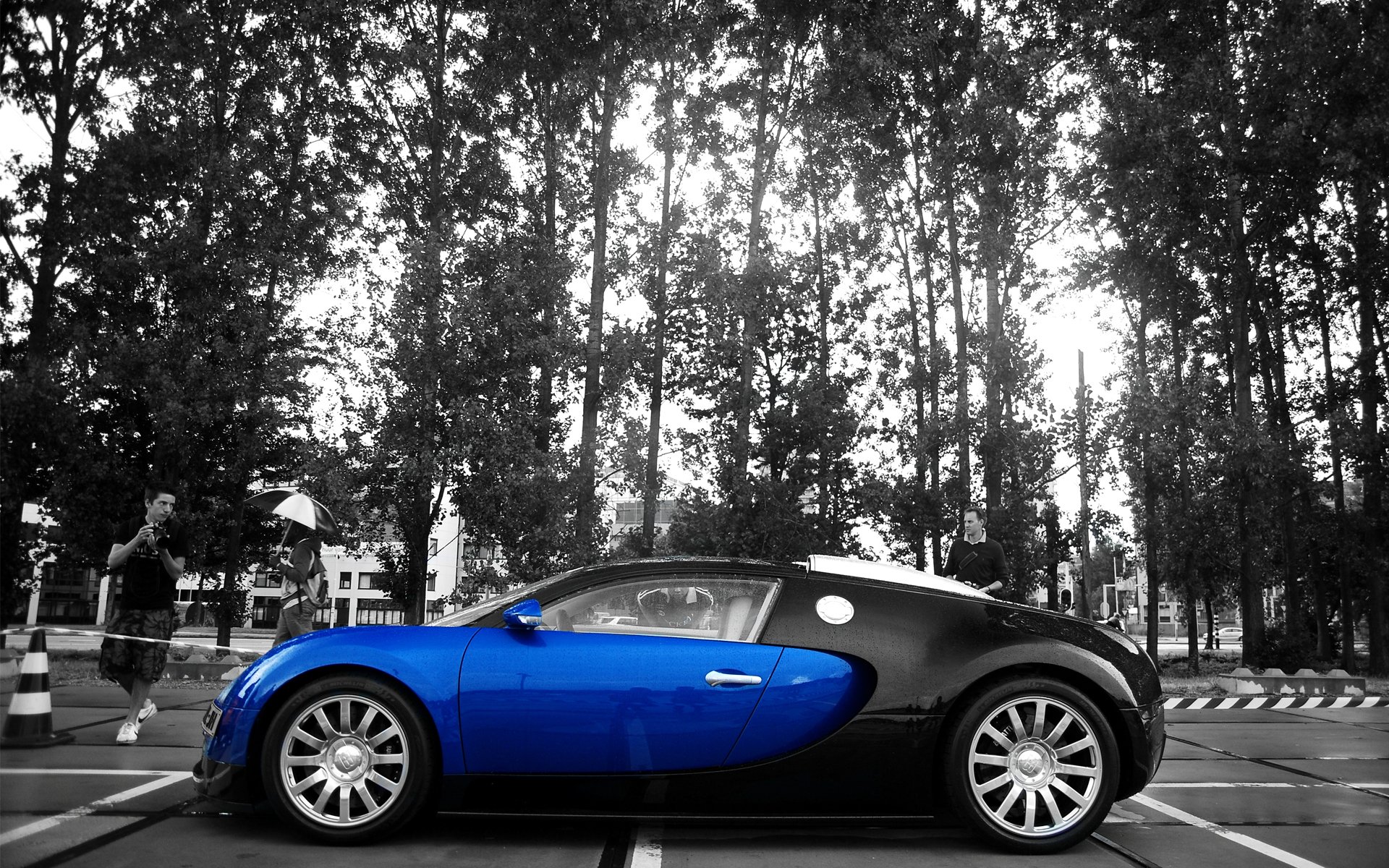 bugatti veyron contraste colores