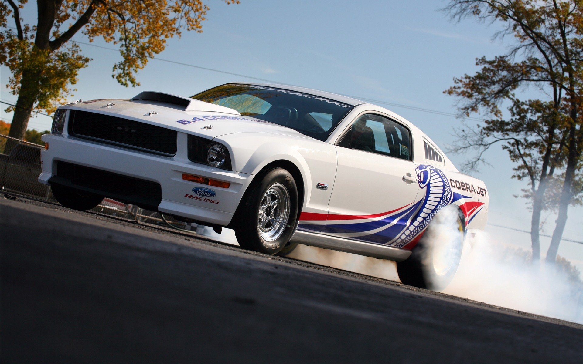 ford 5.4 cobra jet mustang