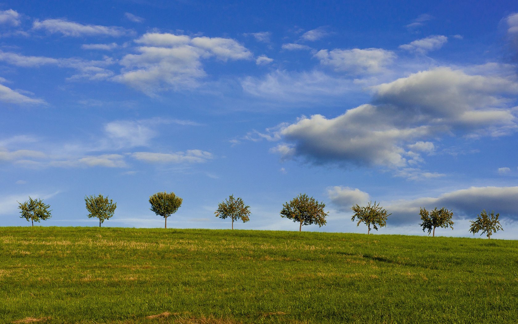 himmel bäume feld sommer