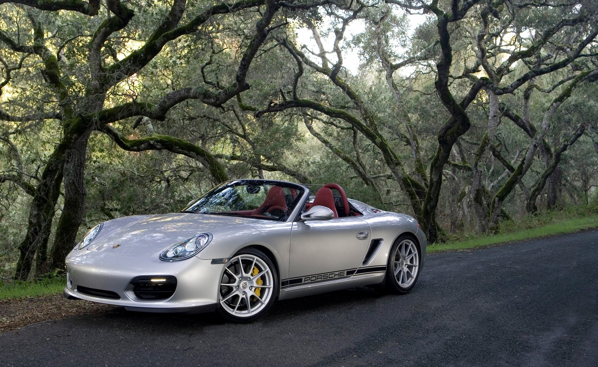 porsche silber bäume