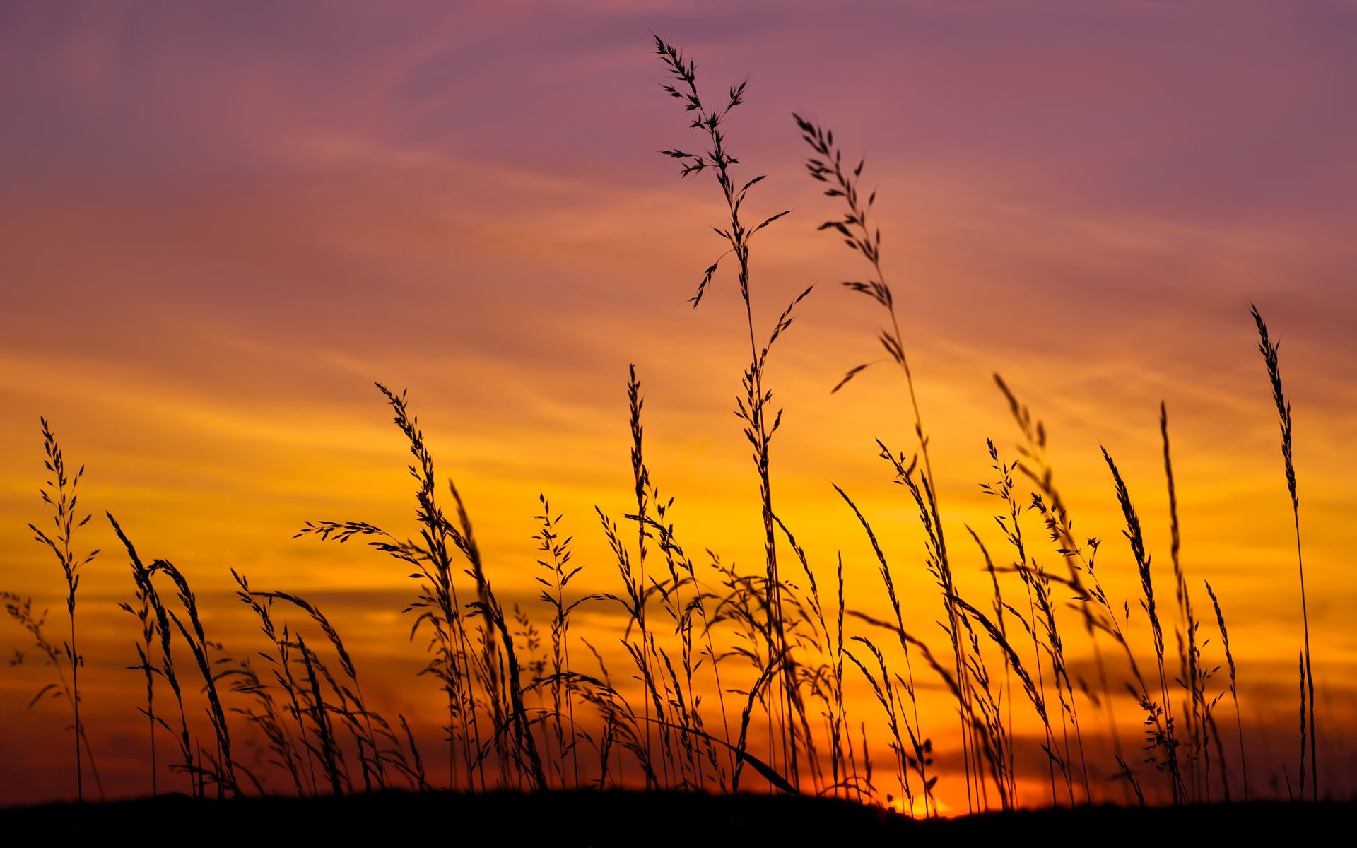 unset field the sky the sun gra