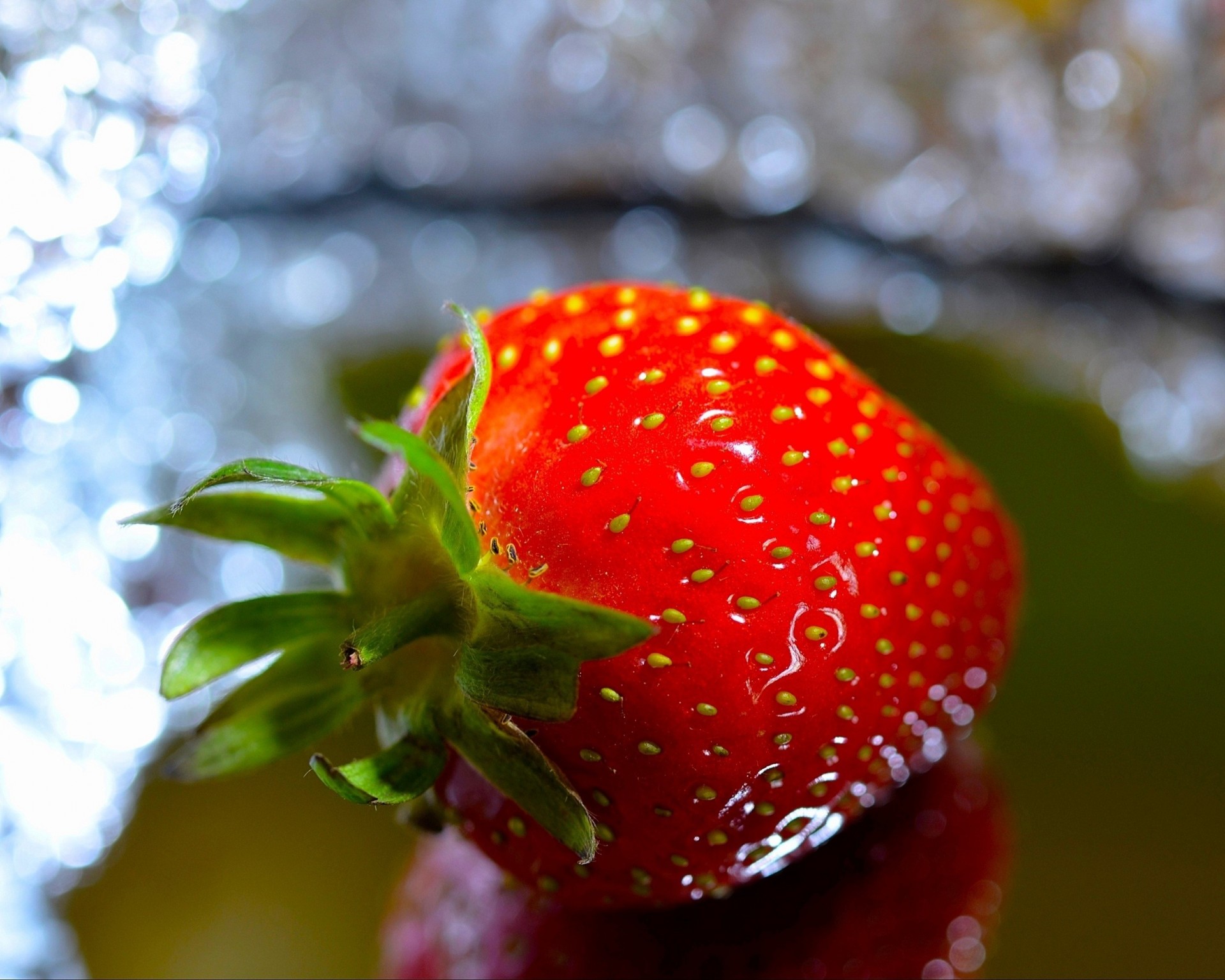 macro fragola rosso bacca