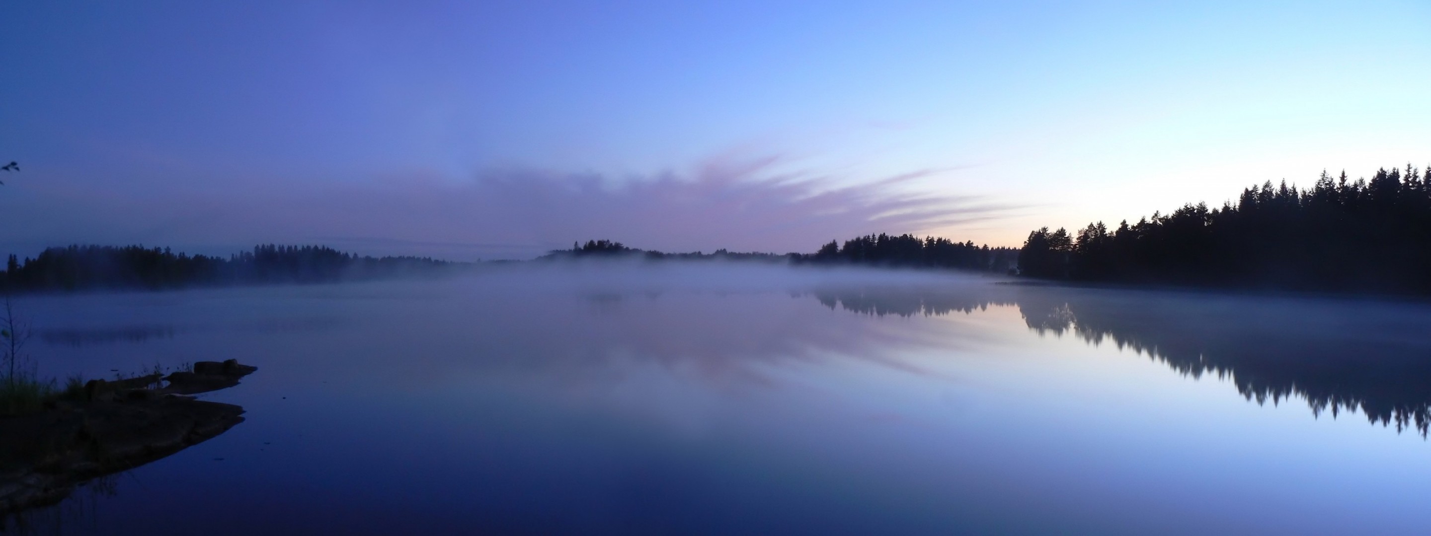 lago niebla árboles reflexión