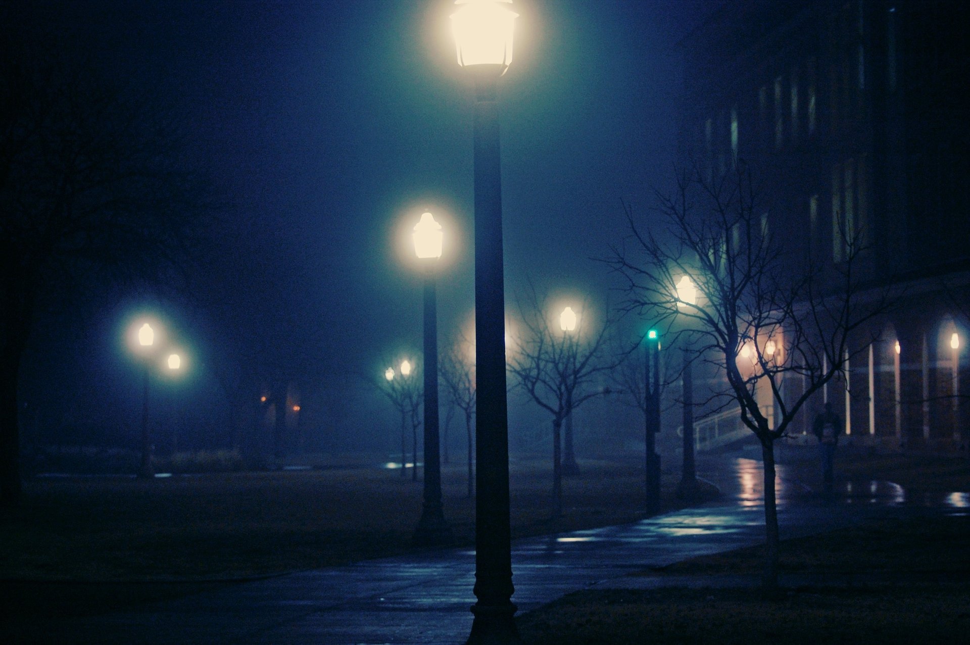 lights night foggy city night fog