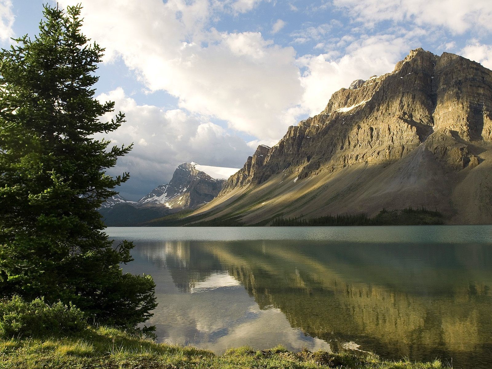 sapin montagne réflexion lac