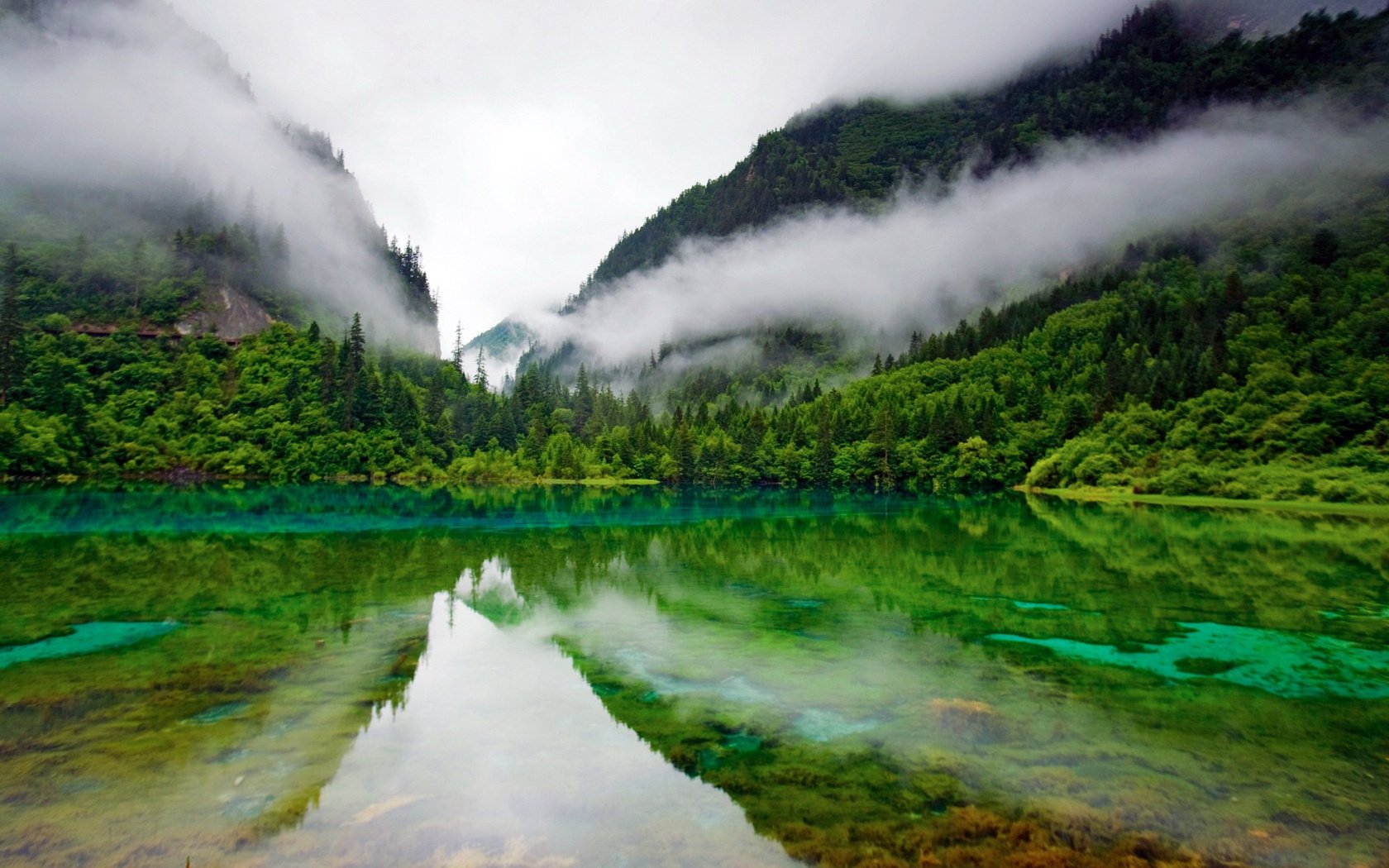 wald grün hügel teich see berge