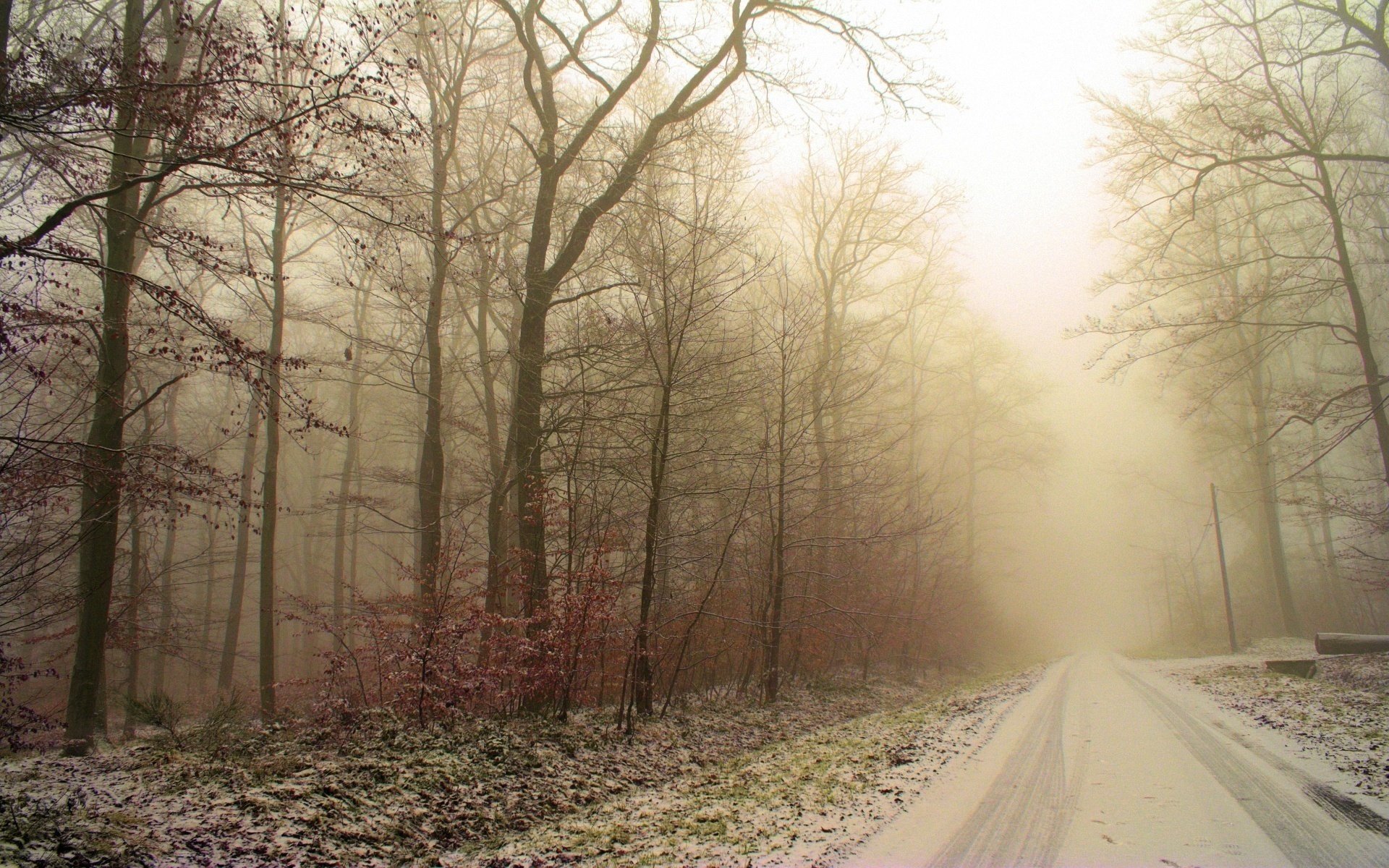 winter road traces snow forest trees frost