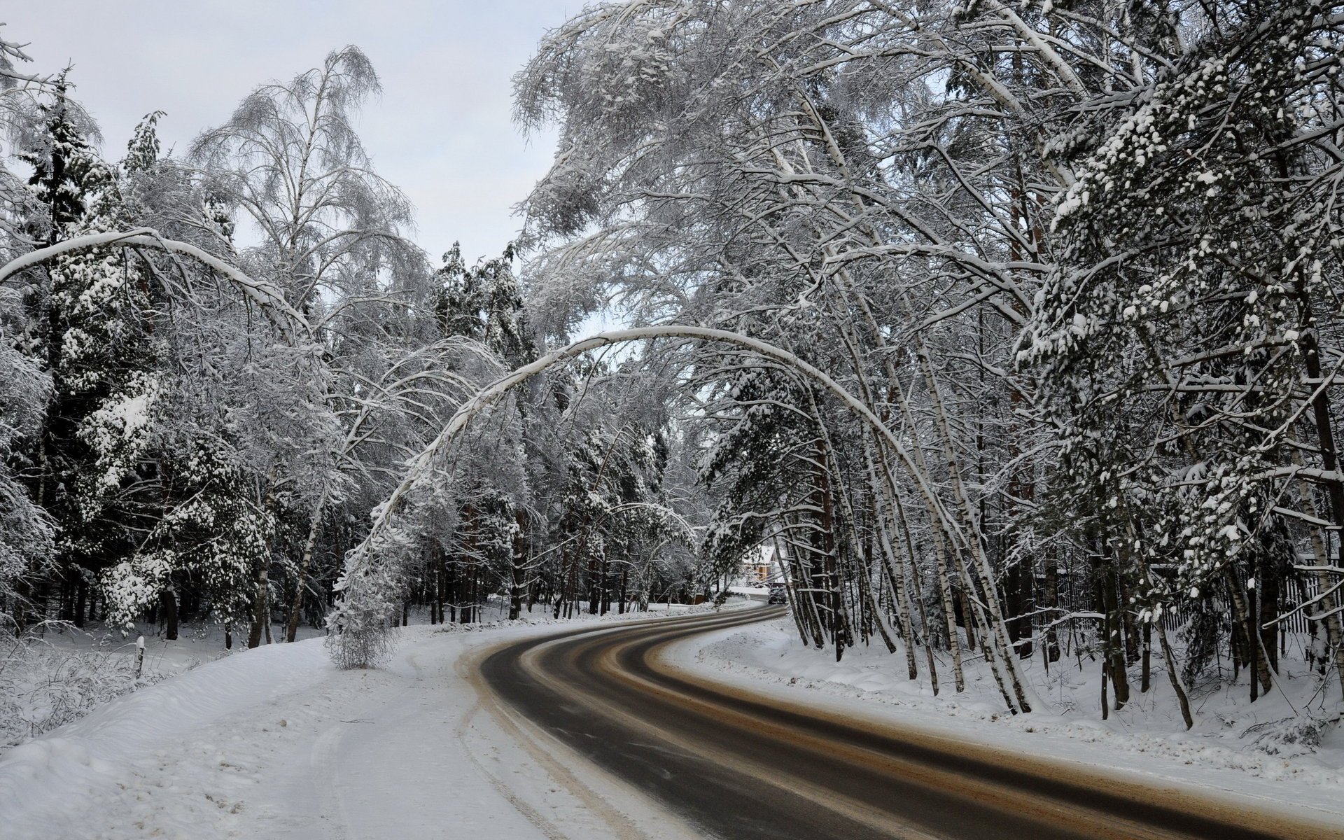 winter straße wald