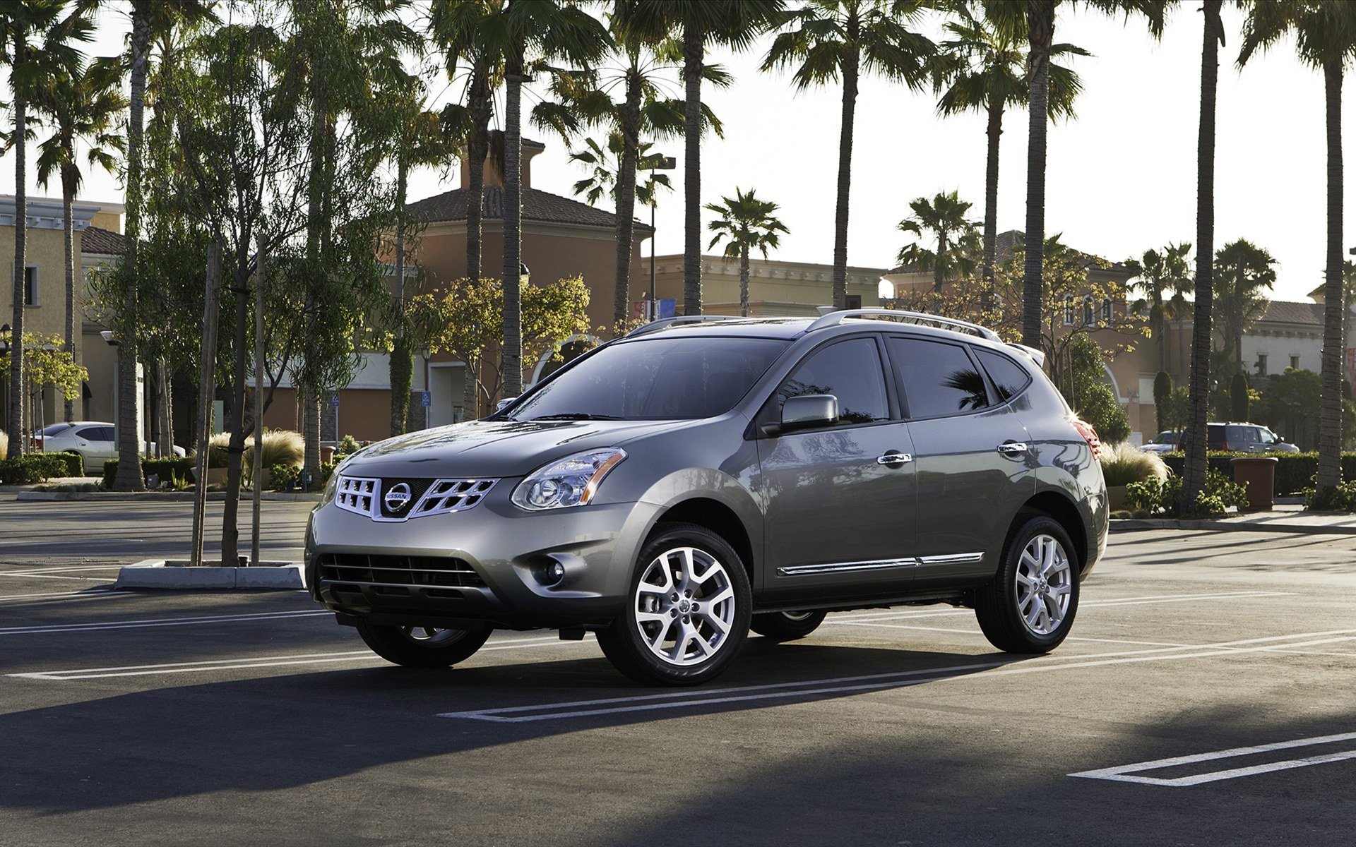 nissan-rogue-2011 palm exotic