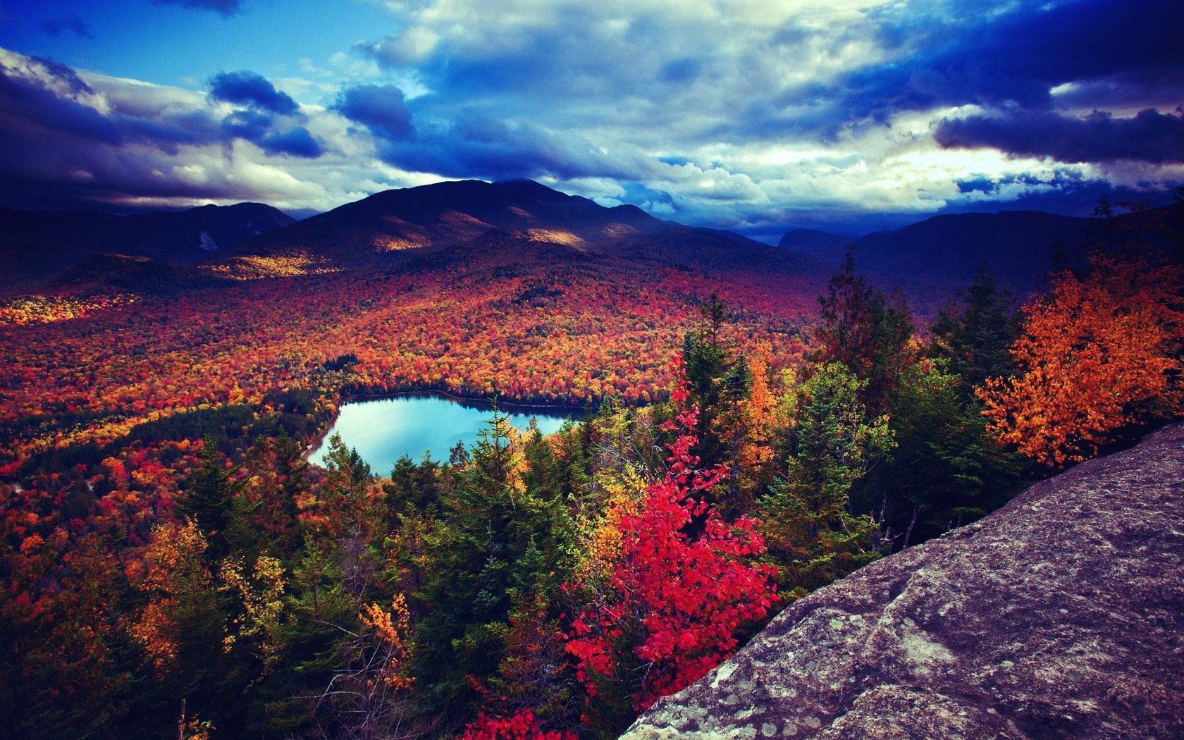 alberi fogliame foresta autunno lago wood green red sea wide blue
