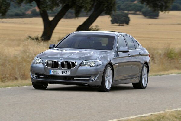 Berlina sulfurea bmw5