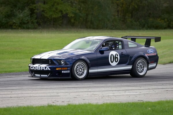 Black cobra with spoiler, rally