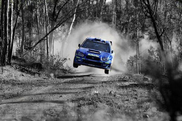 Subaru da un salto en un bosque desierto