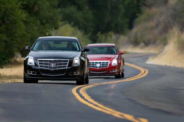 Coches Cadillac en el fondo de los árboles y la carretera