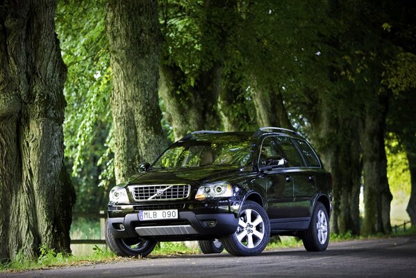 Ein schwarzer Volvo in einer natürlichen Umgebung